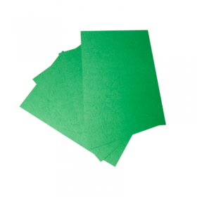 HOLLIES 230g 雙面皮紋紙(綠色) Fancy paper-green
